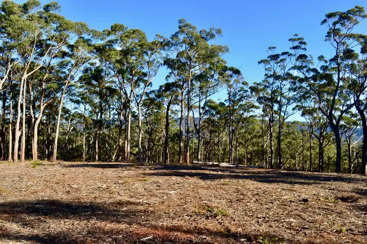 Lots 6,7,8 Little Forest Road, Little Forest NSW 2538