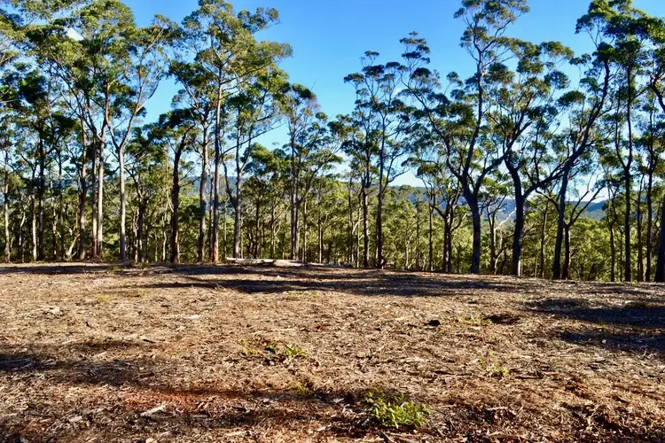 Fourth view of Homely land listing, Lots 6,7,8 Little Forest Road, Little Forest NSW 2538