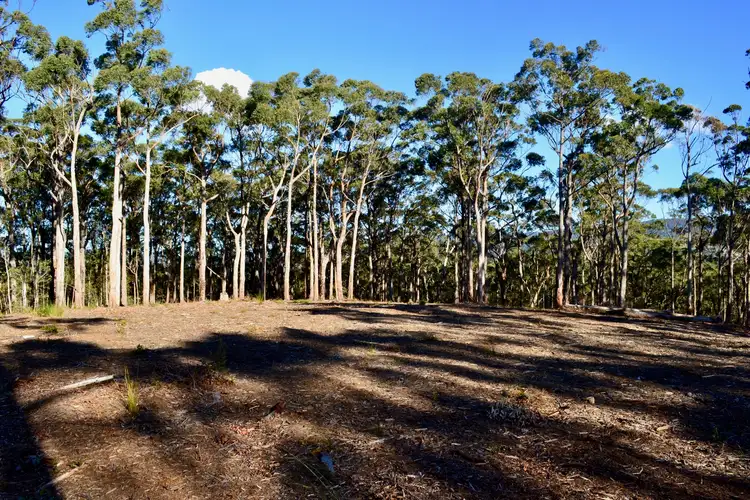 Fifth view of Homely land listing, Lots 6,7,8 Little Forest Road, Little Forest NSW 2538