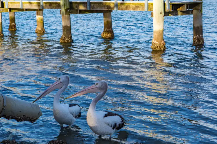 Sixth view of Homely land listing, 38 Skyline Drive, Tweed Heads West NSW 2485