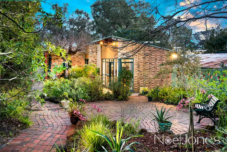 Main view of Homely house listing, 19 Pine Crescent, Ringwood North VIC 3134