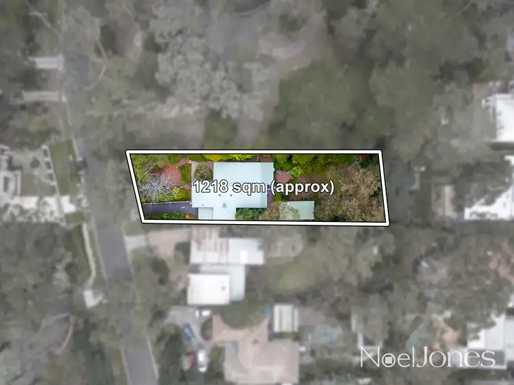 Second view of Homely house listing, 19 Pine Crescent, Ringwood North VIC 3134