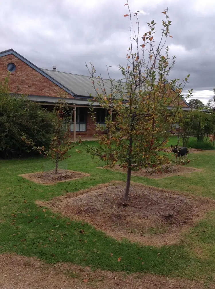 15-17 Wiradjuri Close, Mudgee NSW 2850