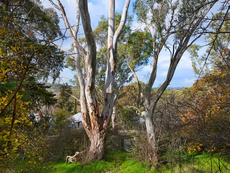 Seventh view of Homely land listing, Lot 2, 13- Bowden Street, Castlemaine VIC 3450