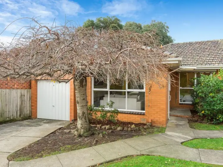 8/51 McCulloch Street, Nunawading VIC 3131