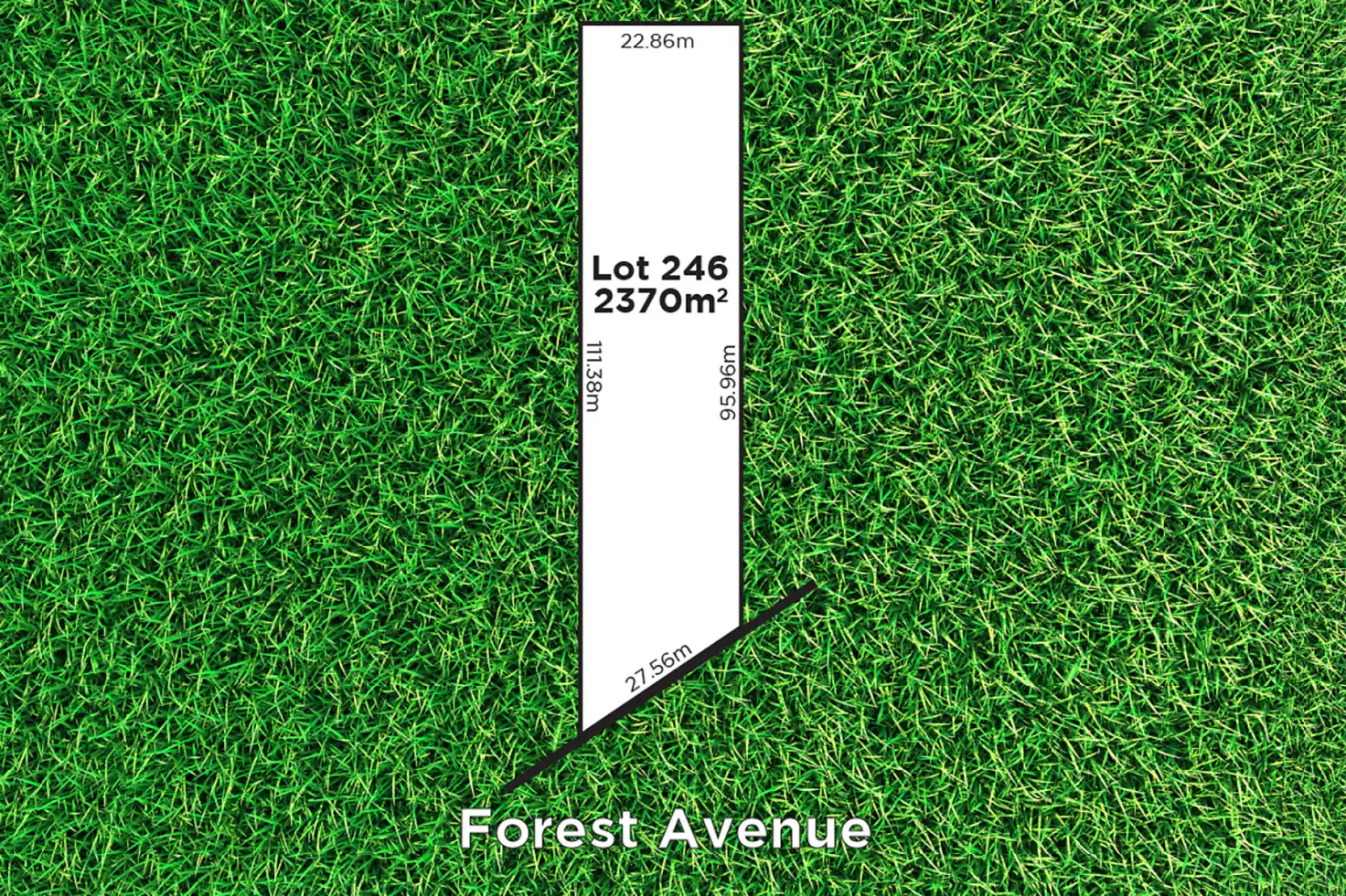 Main view of Homely land listing, 20 Forest Avenue, Hawthorndene SA 5051