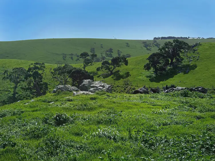 Fifth view of Homely land listing, 688 Forktree Road, Carrickalinga SA 5204