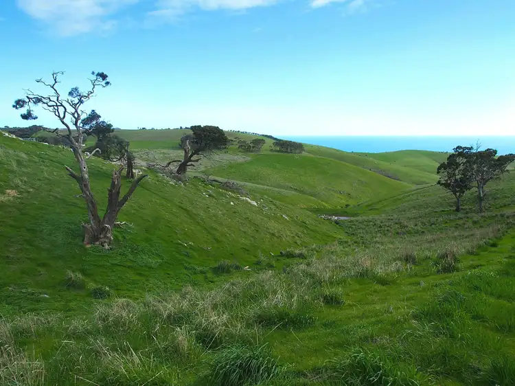 Seventh view of Homely land listing, 688 Forktree Road, Carrickalinga SA 5204