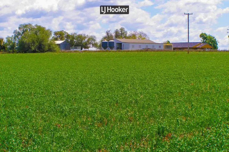 191 Halls Lane, Inverell NSW 2360