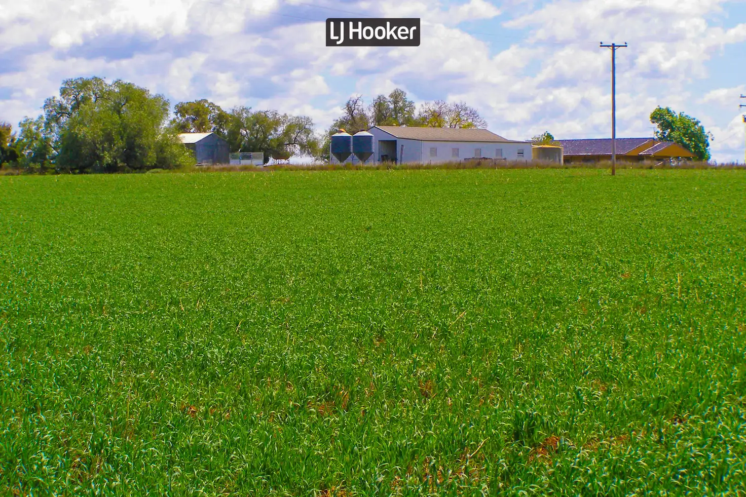 Main view of Homely rural property listing, 191 Halls Lane, Inverell NSW 2360