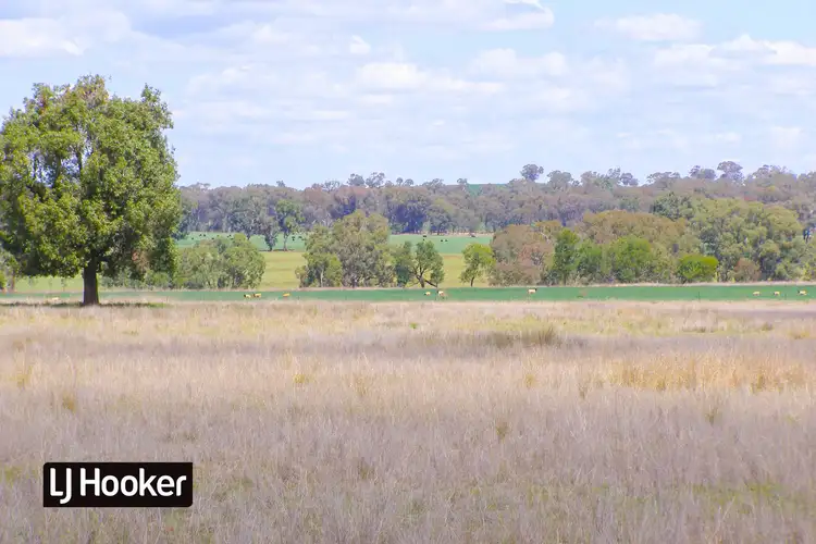 Second view of Homely rural property listing, 191 Halls Lane, Inverell NSW 2360