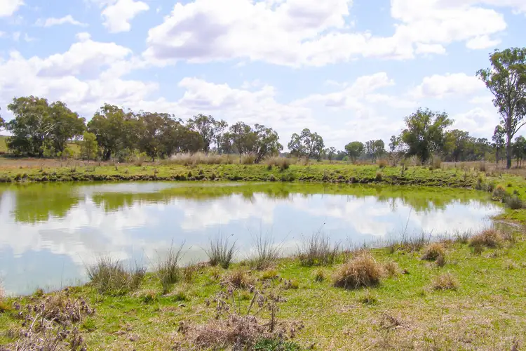 Sixth view of Homely rural property listing, 191 Halls Lane, Inverell NSW 2360