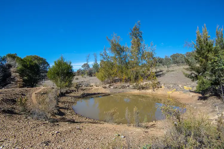 Fourth view of Homely rural property listing, 269 Doughertys Junction Road, Mudgee NSW 2850