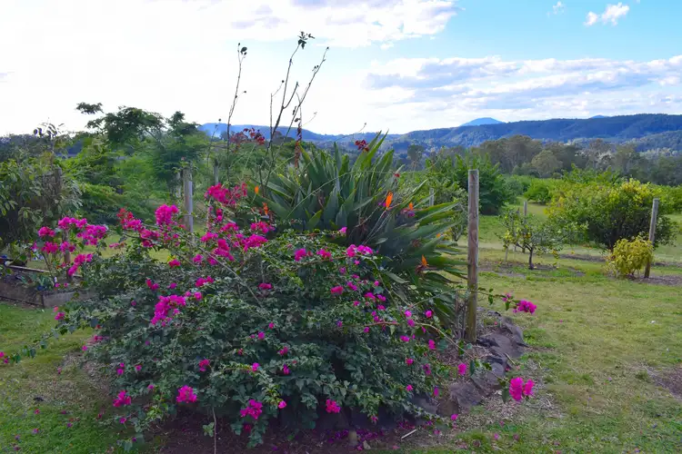 Third view of Homely rural property listing, 104 Gwynne Road, Jiggi NSW 2480