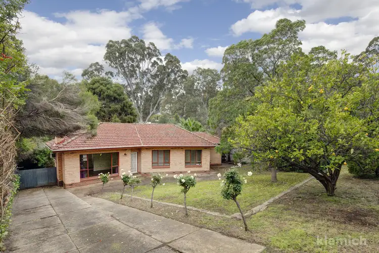 Fourth view of Homely house listing, 14 Eli Street, Torrens Park SA 5062