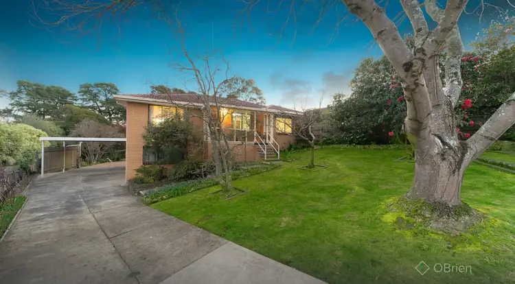 7 Ayr Court, Berwick VIC 3806