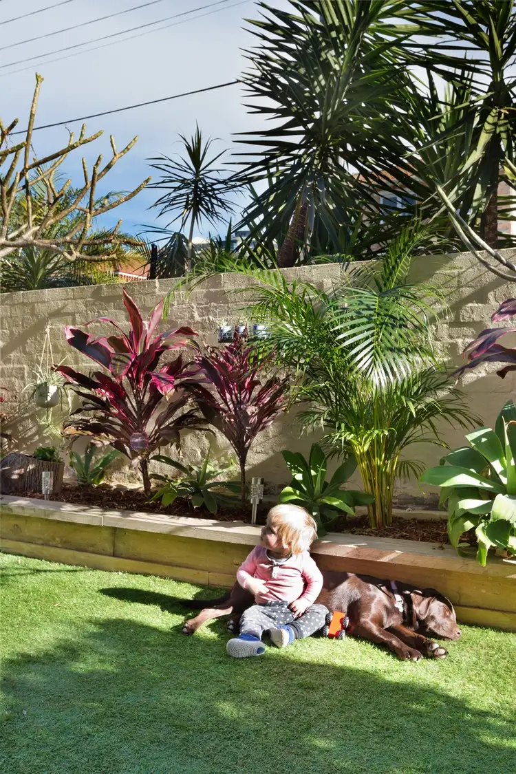 Sixth view of Homely apartment listing, 1/16 Moore Road, Freshwater NSW 2096