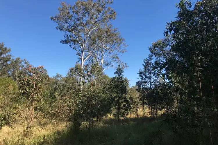 Third view of Homely rural property listing, LOT 147-148 Mc Vicar Road, Traveston QLD 4570