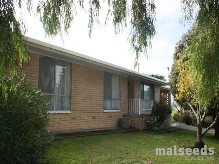 Main view of Homely house listing, 19 Hutchesson Street, Millicent SA 5280
