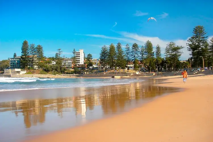 Sixth view of Homely apartment listing, 5/117 Oaks Avenue, Dee Why NSW 2099