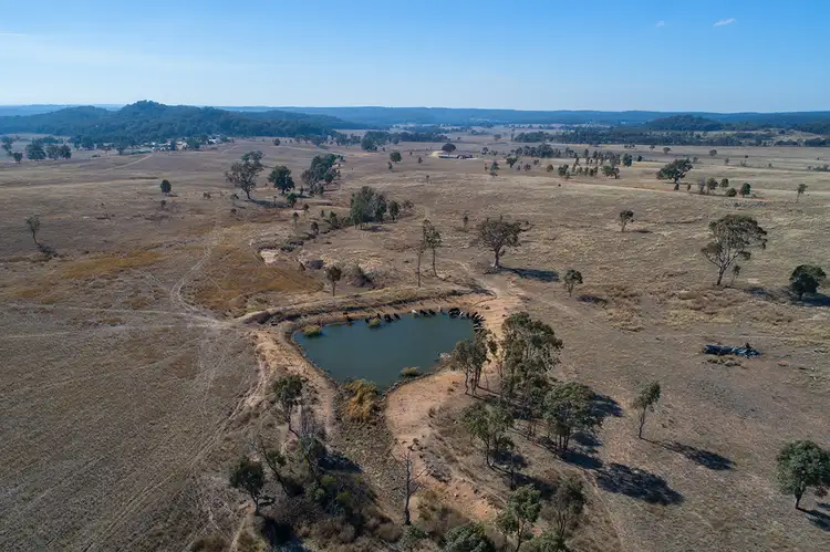 Main view of Homely rural property listing, 873 Blue Springs Road, Gulgong NSW 2852