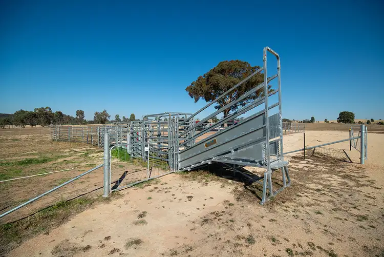 Seventh view of Homely rural property listing, 873 Blue Springs Road, Gulgong NSW 2852