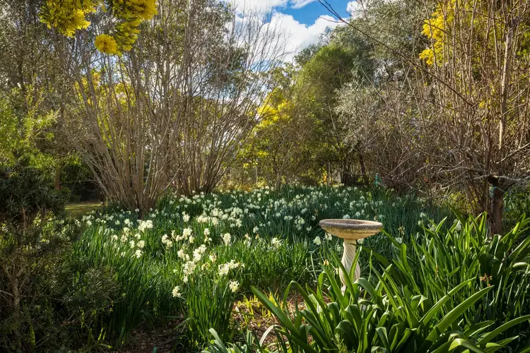 Sixth view of Homely house listing, 60 Fairhaven Point Way, Wallaga Lake NSW 2546