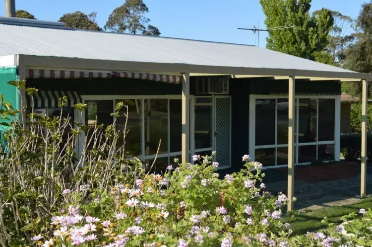 Main view of Homely house listing, 16 Ireland Street, Millicent SA 5280