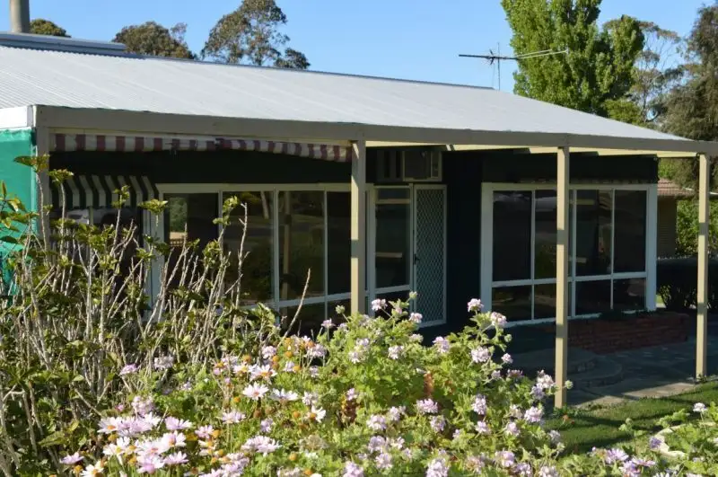 Main view of Homely house listing, 16 Ireland Street, Millicent SA 5280