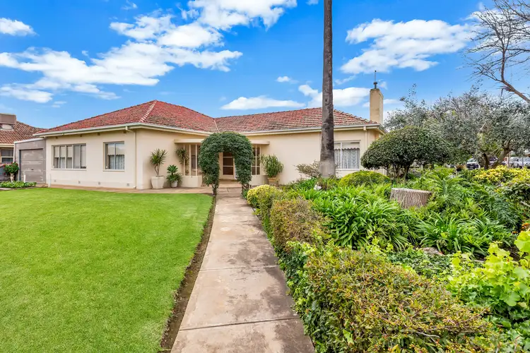 52 White Avenue, Lockleys SA 5032