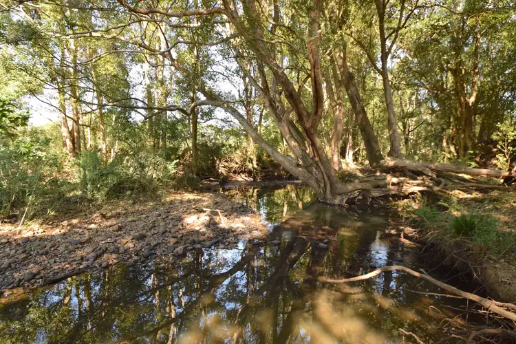 Sixth view of Homely rural property listing, 3 Redcotes Road, Nimbin NSW 2480