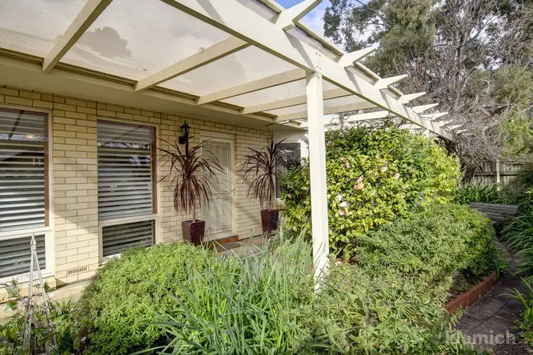 Main view of Homely house listing, 101 Duthy Street, Malvern SA 5061