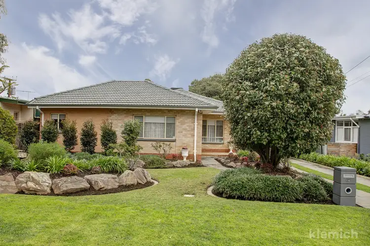 16 Rodney Avenue, Tranmere SA 5073