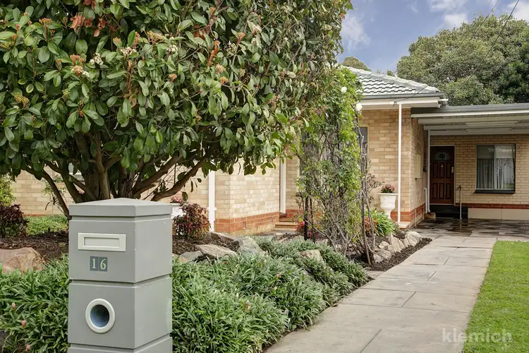 Second view of Homely house listing, 16 Rodney Avenue, Tranmere SA 5073