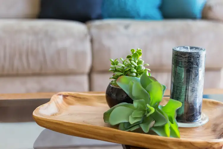 Second view of Homely unit listing, 14/954 Albany Highway Highway, East Victoria Park WA 6101