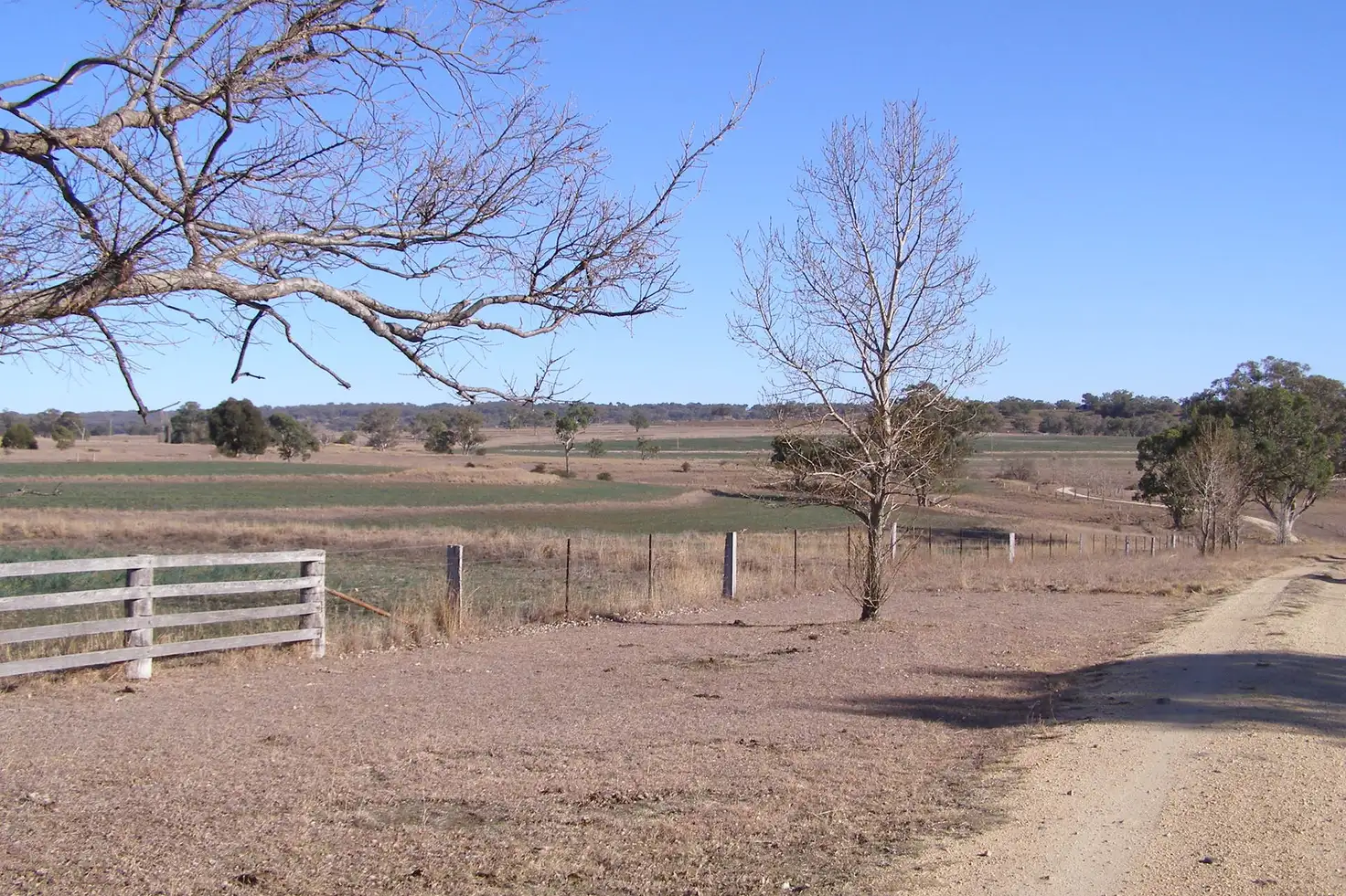 Main view of Homely rural property listing, 396 Auburn Vale Road, Inverell NSW 2360