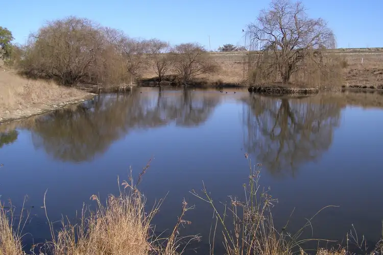 Second view of Homely rural property listing, 396 Auburn Vale Road, Inverell NSW 2360