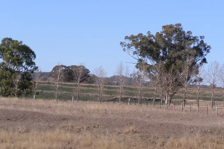 Third view of Homely rural property listing, 396 Auburn Vale Road, Inverell NSW 2360