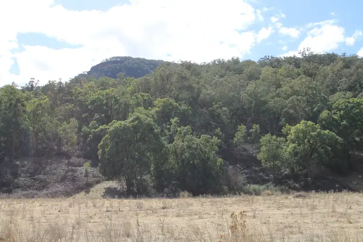 Second view of Homely rural property listing, 99 Growee Road, Rylstone NSW 2849