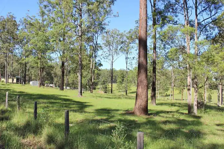 Fifth view of Homely rural property listing, 1151 Collombatti Road, Collombatti NSW 2440