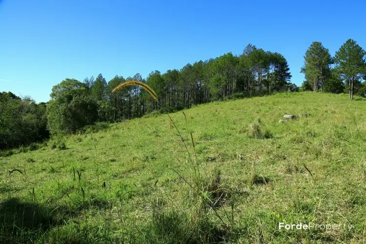 Third view of Homely land listing, William Road, Eumundi QLD 4562