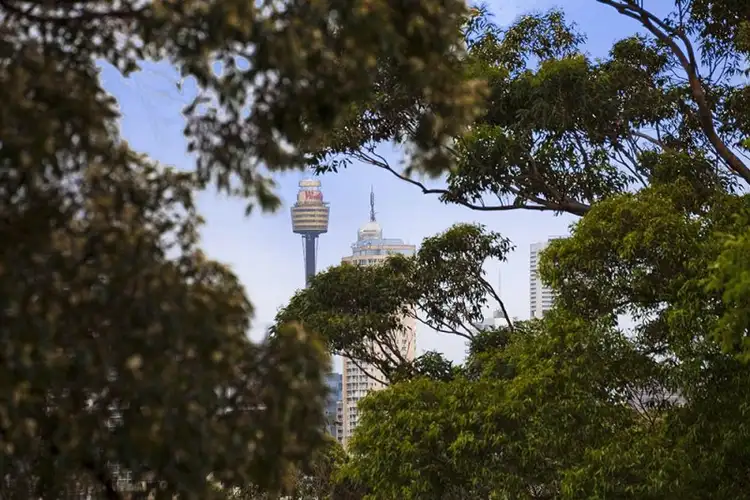 Seventh view of Homely terrace listing, 30 Thorne Street, Edgecliff NSW 2027