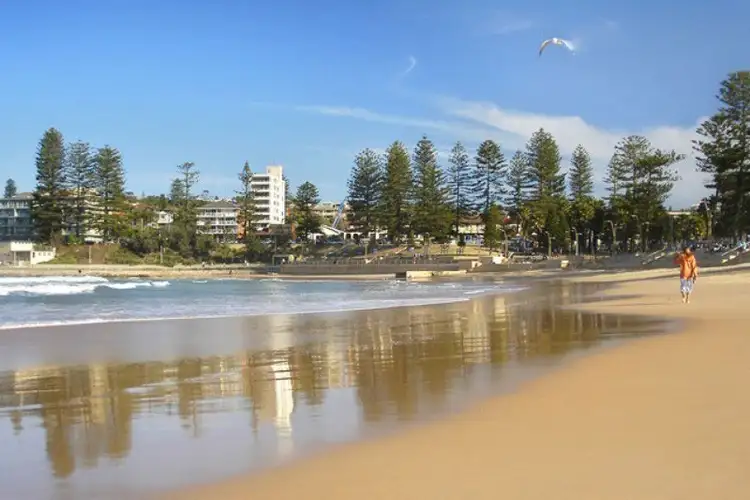 Sixth view of Homely apartment listing, 202/637 Pittwater Road, Dee Why NSW 2099