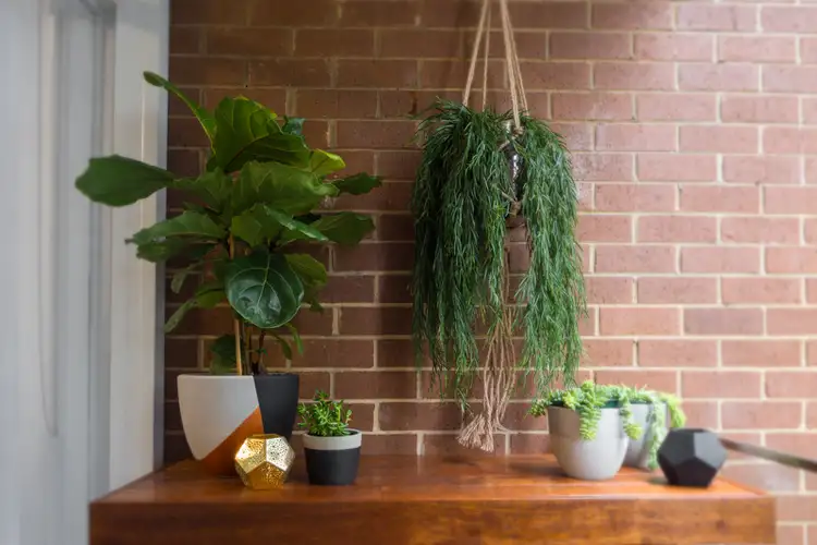 Sixth view of Homely apartment listing, 21/268 Johnston Street, Annandale NSW 2038
