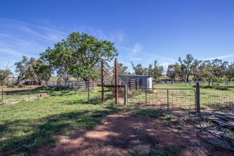 Seventh view of Homely house listing, 21 Pethers Road, Narrandera NSW 2700