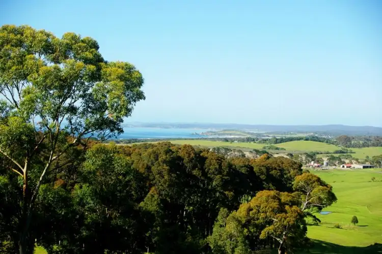 Second view of Homely rural property listing, 126 Haxstead Road, Central Tilba NSW 2546