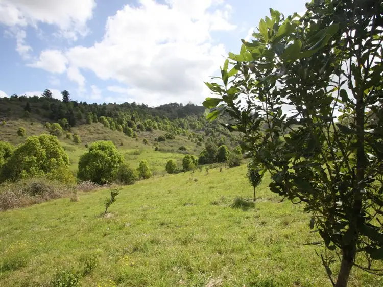Main view of Homely rural property listing, 31 Arkinstall Road, Tuntable Creek NSW 2480
