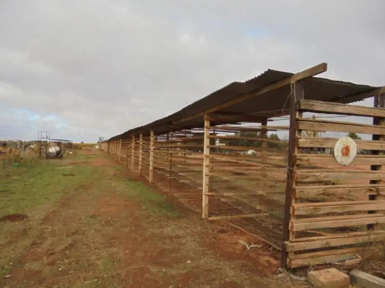 7E Satelberg Road, Robinvale VIC 3549