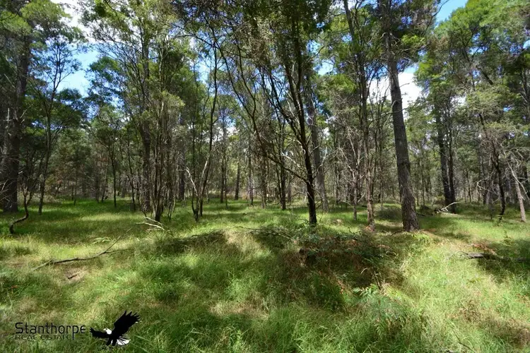 LOT 155 Blackbutt Road, Sugarloaf QLD 4380