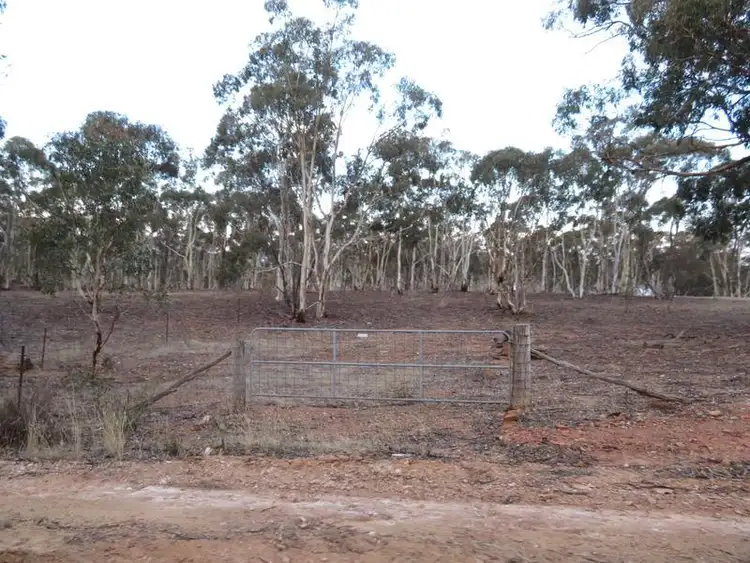 Sixth view of Homely rural property listing, LOT 11 Wheelhouse Road, Wehla VIC 3518